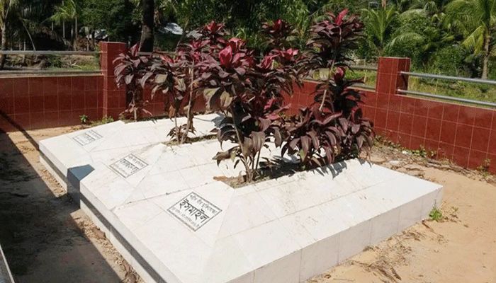 বামনী বেড়ীর যুদ্ধ : মহান মুক্তিযুদ্ধের এক রক্তাক্ত দলিল